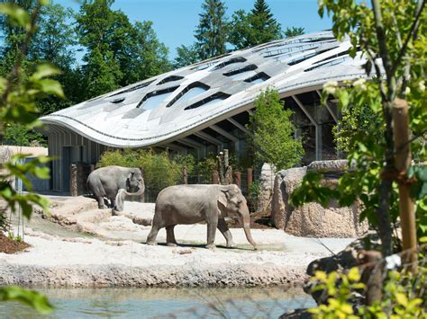  A Zoológico de Zurique: Um Paraíso para Amantes da Fauna e Aventuras Inusitadas!