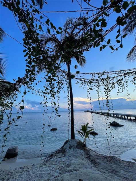 Jardim Botânico de Isla Mujeres: Um Paraíso Tropical para Contemplação e Relaxamento!