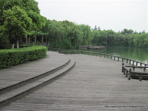 Parque Xinzhou - Um Oásis Verde em Meio à História Industrial de Lvliang!